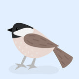 Chickadee - printable bird art