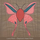 Moths Applique Quilt Pattern Bundle
