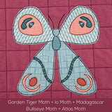 Moths Applique Quilt Pattern Bundle
