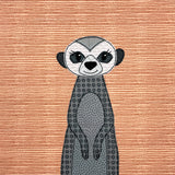 Safari Bundle #1