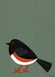 Spotted Towhee - printable bird art - collage style