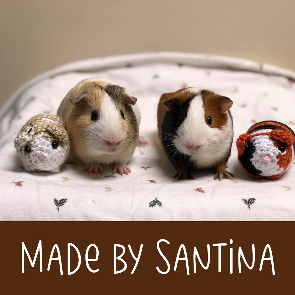 Guinevere Guinea Pig Crochet Amigurumi Pattern