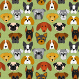 Good Dog - Puddle and Grass - Fabric Collection