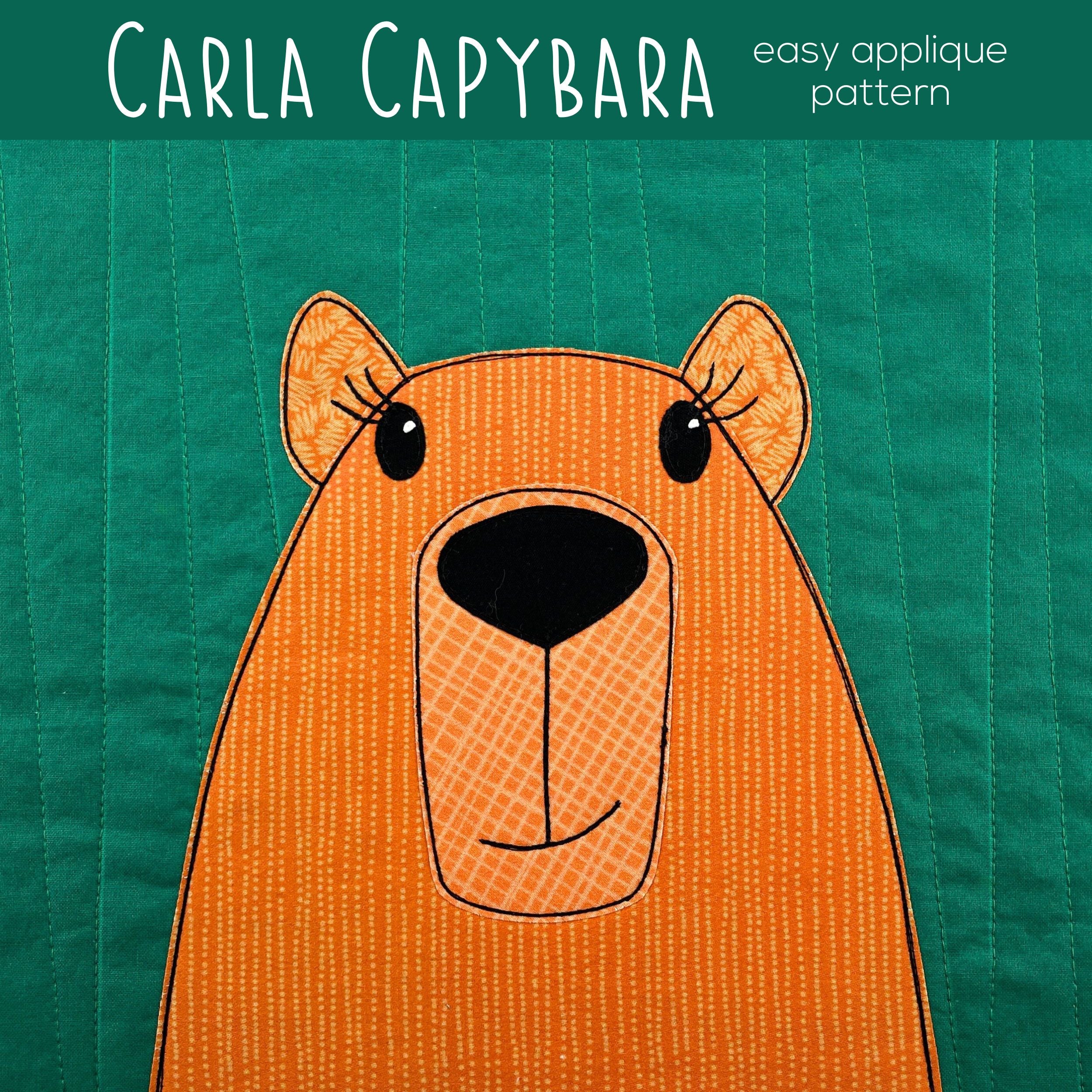 Noisy Rainforest Bundle