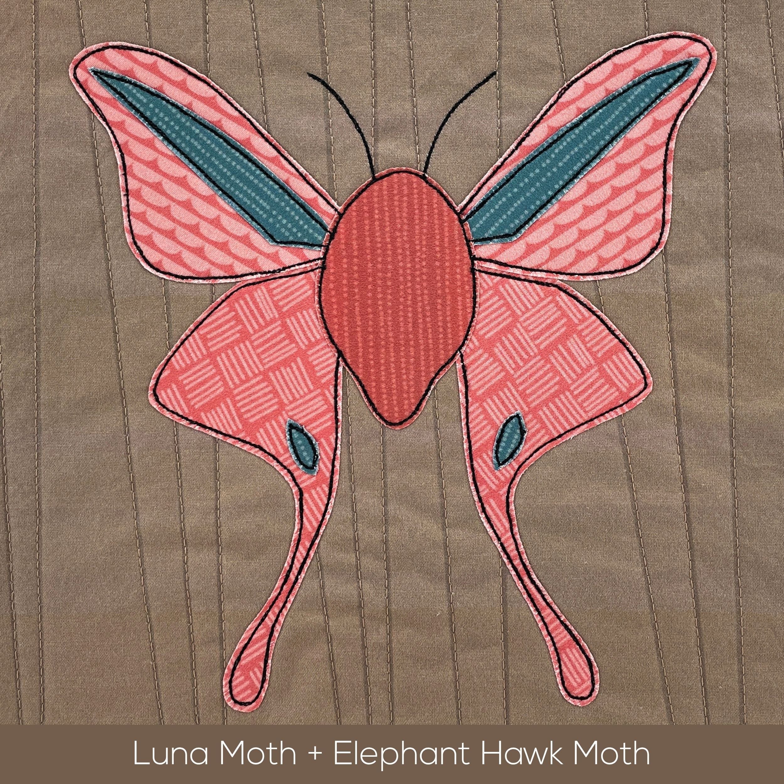 Moths Applique Quilt Pattern Bundle