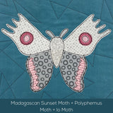 Moths Applique Quilt Pattern Bundle