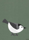 White-Breasted Nuthatch - printable bird art - collage style