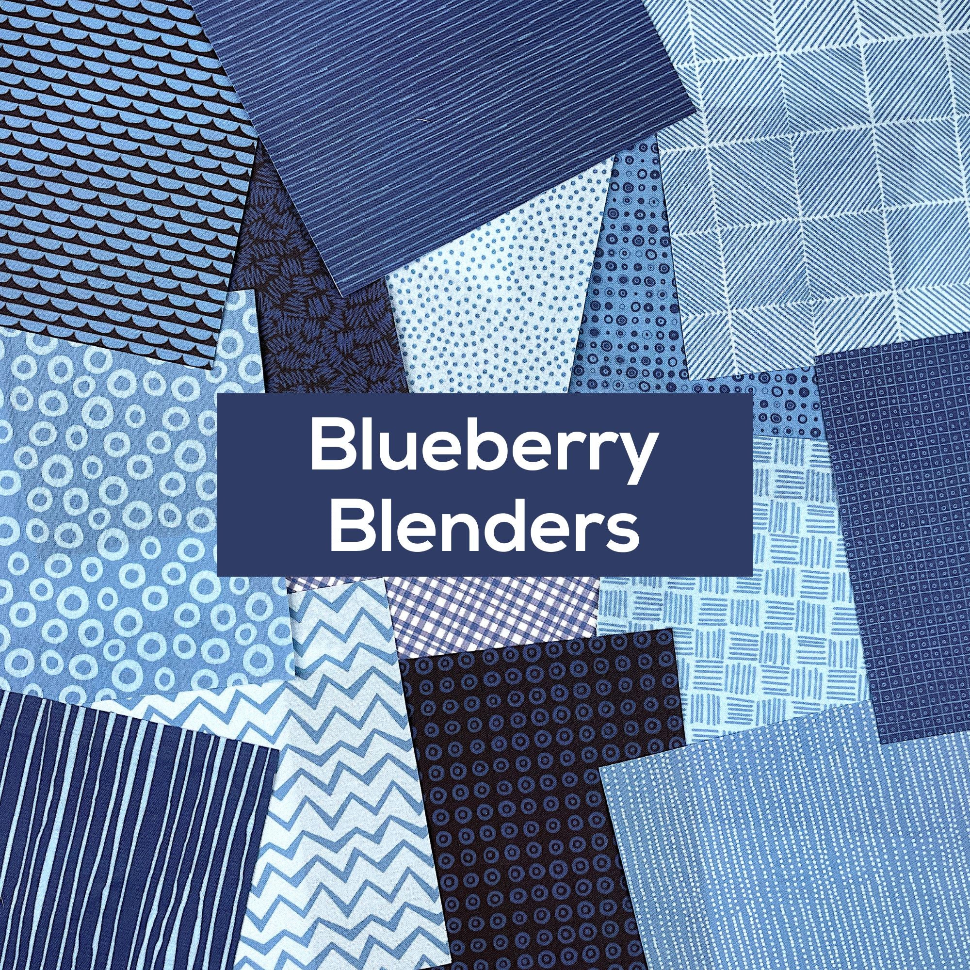 Blueberry Blenders