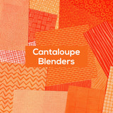 Cantaloupe Blenders