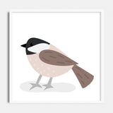 Chickadee - printable bird art