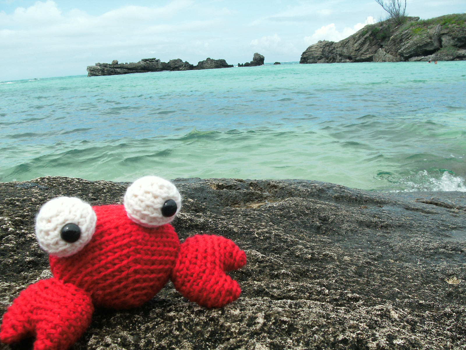 Tipper the Tiny Crab Crochet Amigurumi Pattern